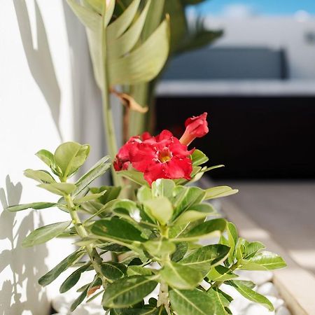 Villa Palmera Jacuzzi Yaiza  Buitenkant foto