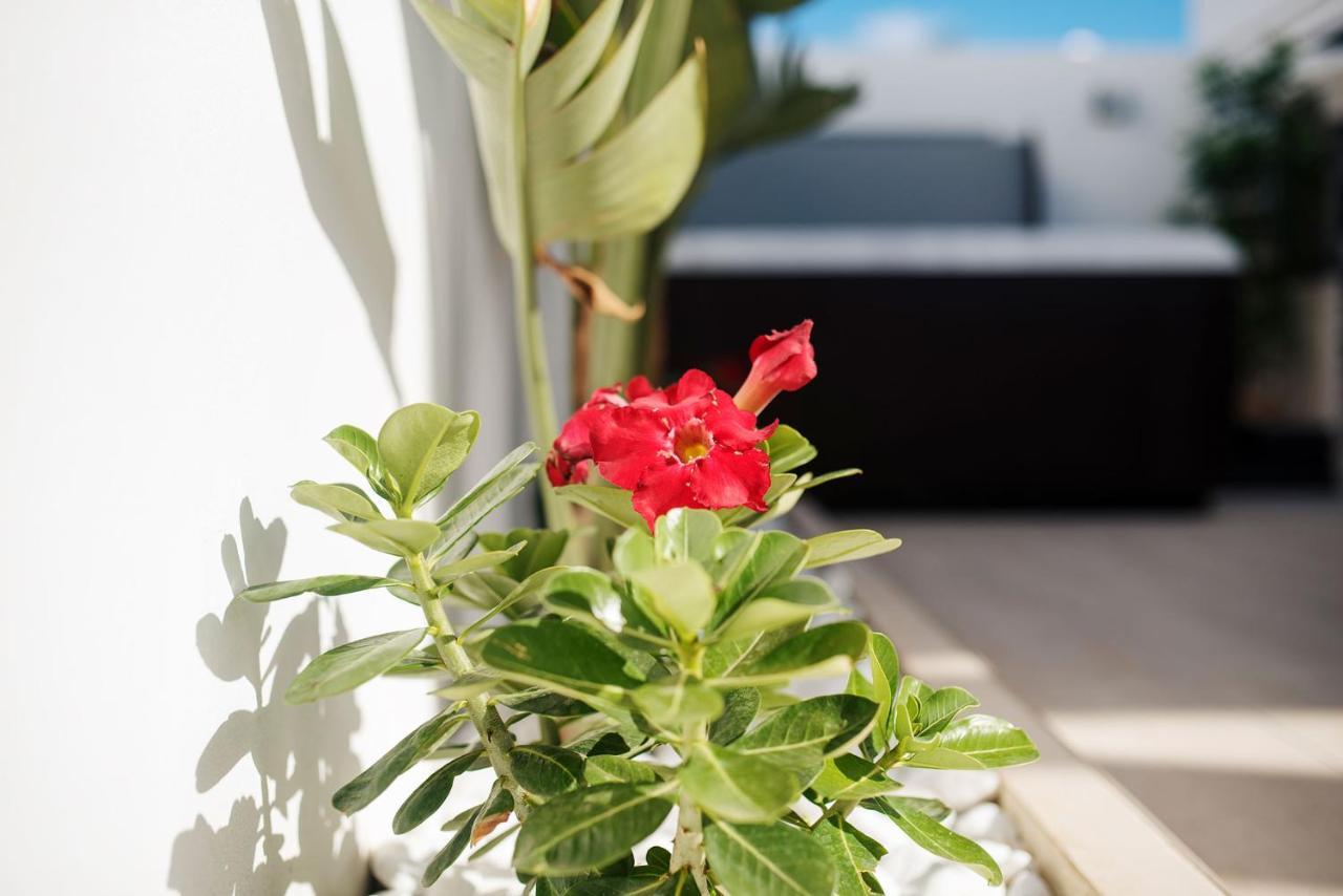 Villa Palmera Jacuzzi Yaiza  Buitenkant foto